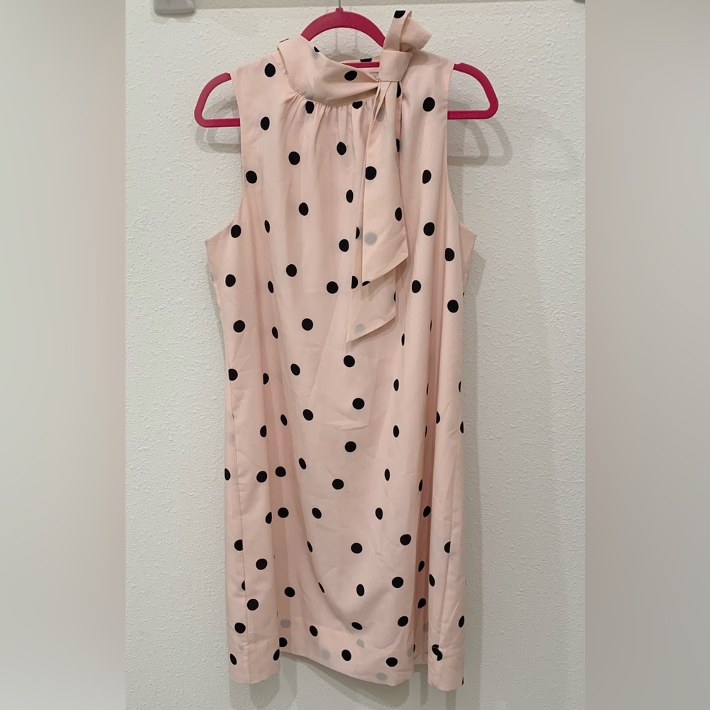 Ann Taylor Pink Polkadot Sleeveless dress